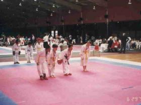 Pottstown Karate Club photo 2 of 11